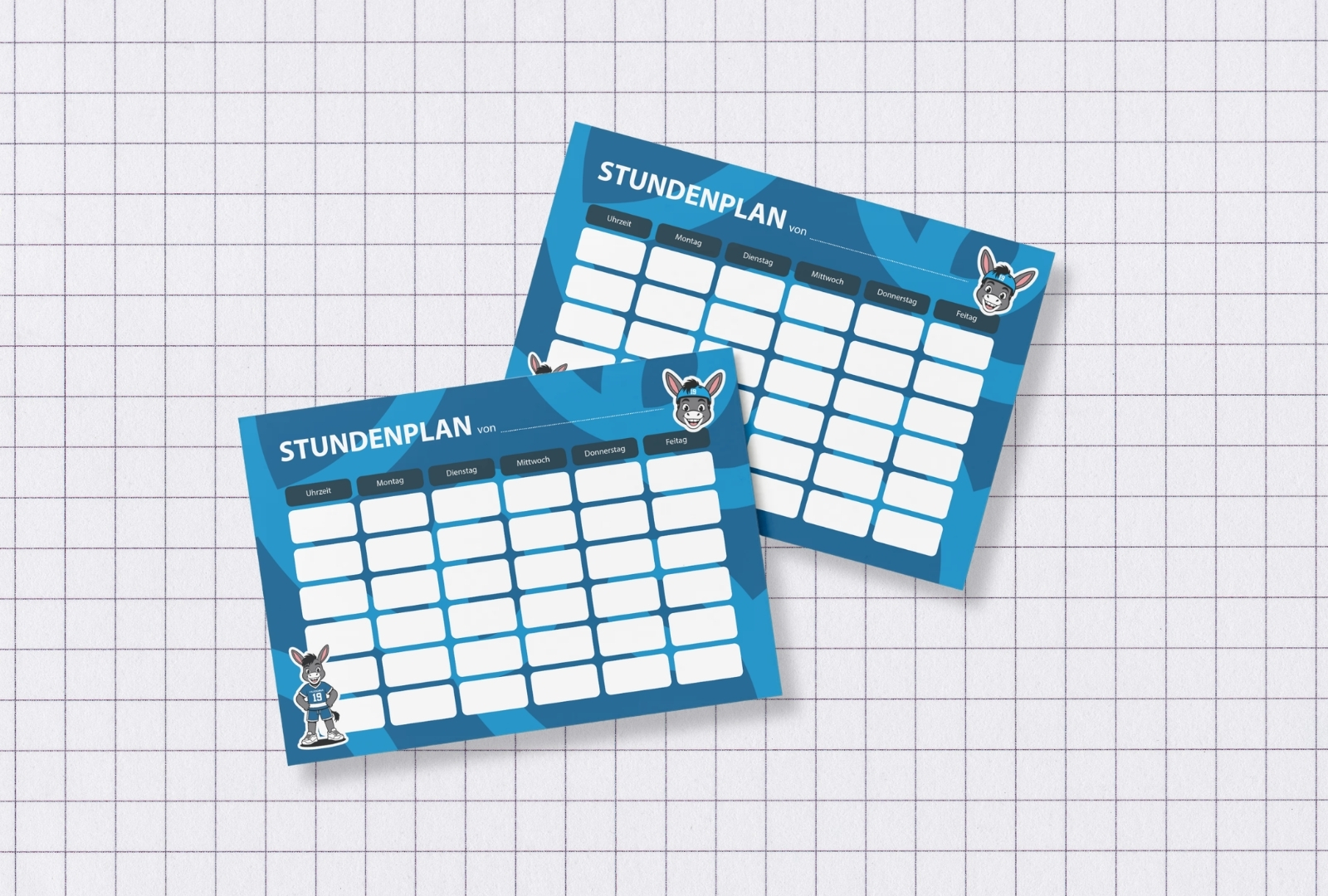 2026_B2S_WEB_Stundenplan_1600x1080px
